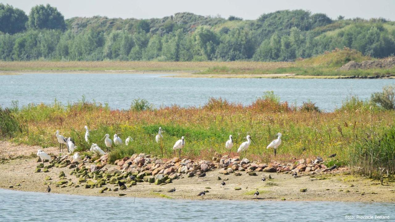 Molecaten Park Waterdunen Breskens Esterno foto